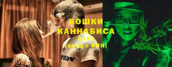 ПСИЛОЦИБИНОВЫЕ ГРИБЫ Балахна