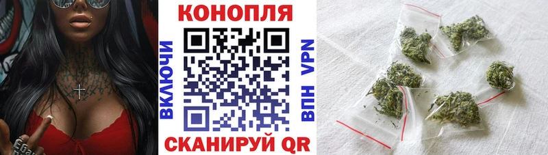 Шишки марихуана марихуана  Георгиевск 